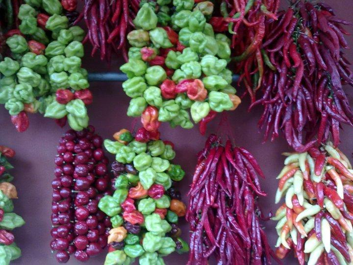 B&B Dei Fiori 普拉亚·阿马勒 外观 照片